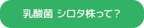 乳酸菌 シロタ株って？