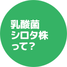 乳酸菌 シロタ株って？